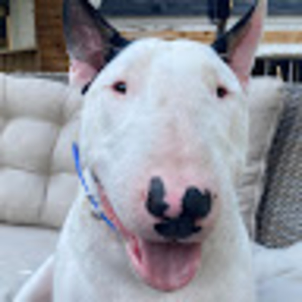 Meet your Posher, Elly